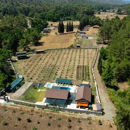 Sora No Mori Village 펜션 말마리스